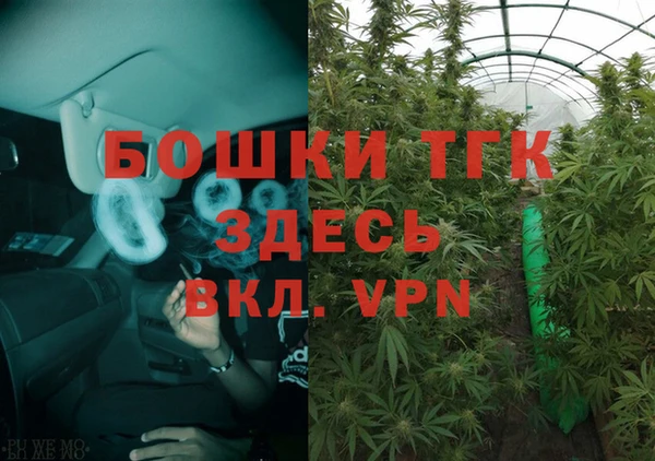 шишки Армянск