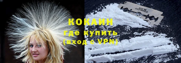 шишки Армянск