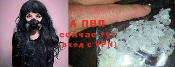 ешки Арсеньев
