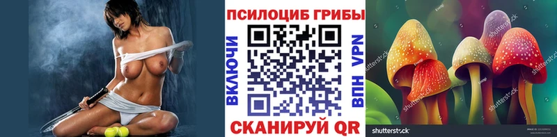 наркошоп  сайты даркнета состав  Псилоцибиновые грибы прущие грибы  Тюмень 